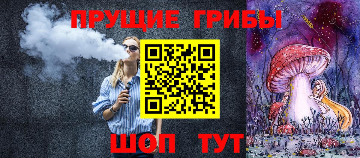 Галлюциногенные грибы Psilocybe Куйбышев