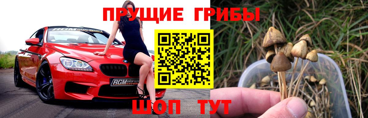 Псилоцибиновые грибы прущие грибы  Вход с VPN  Куйбышев 